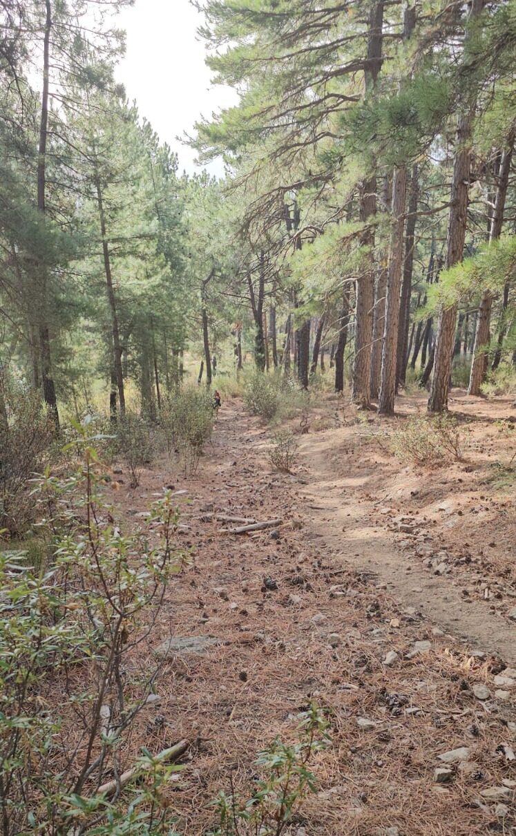 Abantos Memorial David Delgado Santos