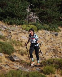 Bosque-de-Llegada-33