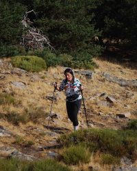 Bosque-de-Llegada-34