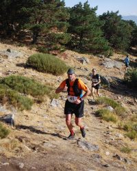 Bosque-de-Llegada-52