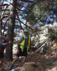 Bosque-de-Llegada-74