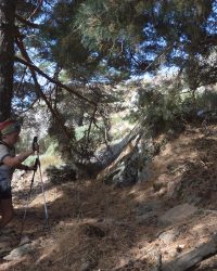 Bosque-de-Llegada-76