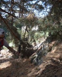 Bosque-de-Llegada-79