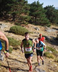 Bosque-de-Llegada-86