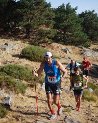 Bosque-de-Llegada-88