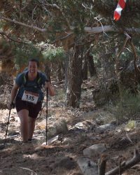 Bosque-de-Llegada-89