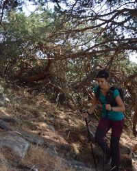 Bosque-de-Llegada-99