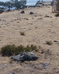IMG-20260906-WA0515