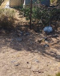 IMG-20260906-WA0517