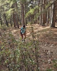 Subida-37Porciento-Desnivel-2025-42