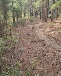 Subida-37Porciento-Desnivel-2025-43