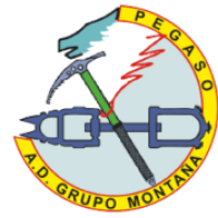 cropped-logo-pegaso