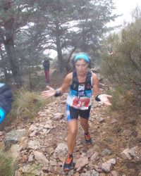 meta-cv-abant-memorial-david-delgado-2023-06-min