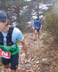 meta-cv-abant-memorial-david-delgado-2023-09-min