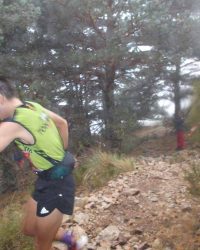 meta-cv-abant-memorial-david-delgado-2023-75-min