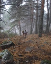 renegado-cv-abant-memorial-david-delgado-2023-00