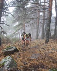 renegado-cv-abant-memorial-david-delgado-2023-01