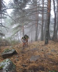 renegado-cv-abant-memorial-david-delgado-2023-02