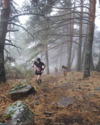 renegado-cv-abant-memorial-david-delgado-2023-04