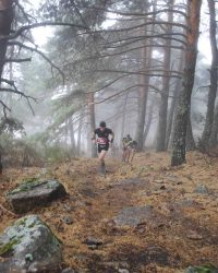 renegado-cv-abant-memorial-david-delgado-2023-05