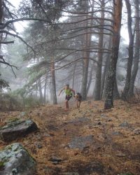 renegado-cv-abant-memorial-david-delgado-2023-09