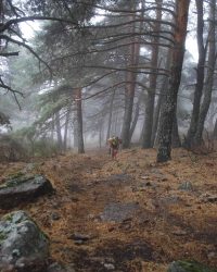 renegado-cv-abant-memorial-david-delgado-2023-10