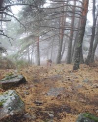 renegado-cv-abant-memorial-david-delgado-2023-11