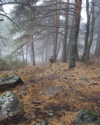 renegado-cv-abant-memorial-david-delgado-2023-14