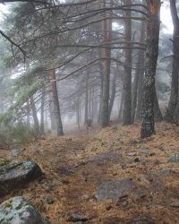 renegado-cv-abant-memorial-david-delgado-2023-20 (1)