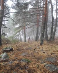 renegado-cv-abant-memorial-david-delgado-2023-24 (1)