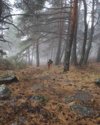 renegado-cv-abant-memorial-david-delgado-2023-25 (1)