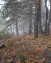 renegado-cv-abant-memorial-david-delgado-2023-30 (1)