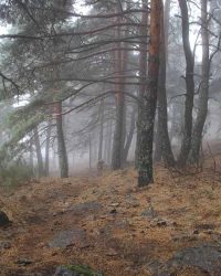 renegado-cv-abant-memorial-david-delgado-2023-31 (1)