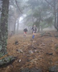 renegado-cv-abant-memorial-david-delgado-2023-36