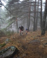 renegado-cv-abant-memorial-david-delgado-2023-67