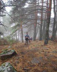 renegado-cv-abant-memorial-david-delgado-2023-77