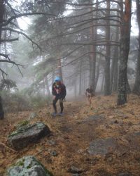 renegado-cv-abant-memorial-david-delgado-2023-84