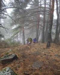 renegado-cv-abant-memorial-david-delgado-2023-89