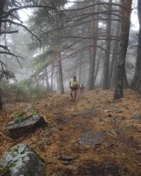 renegado-cv-abant-memorial-david-delgado-2023-93